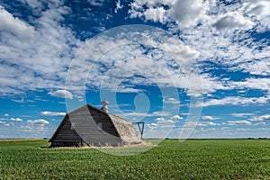 An abandoned barn surrounded by a wheat field on the prairies in Saskatchewan