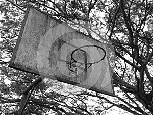 Abandoned basketball board photo