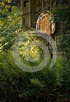 Abandoned Basketball Hoop