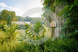 Abandoned Basketball Hoop