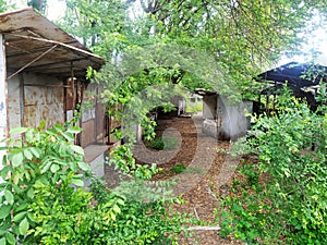 abandoned bazaar in summer shopping arcade of the closed market