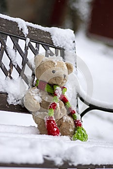 Abandoned beige plushy teddy bear with red green striped knitted scarf sitting on the bench covered with white snow