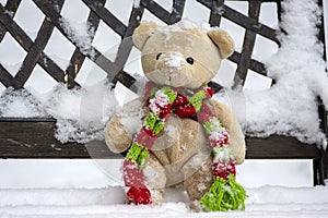 Abandoned beige plushy teddy bear with red green striped knitted scarf sitting on the bench covered with white snow