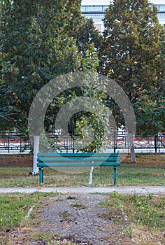 An abandoned bench in an old park, an overgrown path