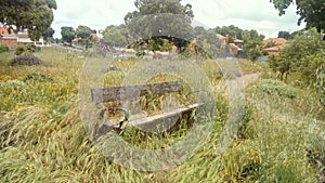 Abandoned bench, path and grass photo