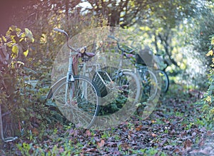 Abandoned bicycles in the countryside