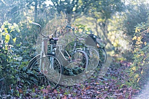 Abandoned bicycles in the countryside