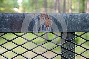 Abandoned Black Iron Fence in the Forest