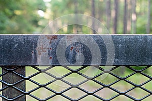 Abandoned Black Iron Fence with Rust 