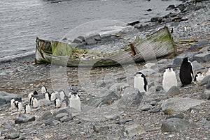 Abandoned boat in Anarctica