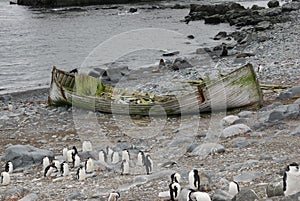 Abandoned boat in Anarctica