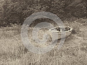 abandoned boat in the forest