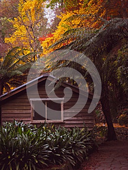 Abandoned boat shed againts the background of Sherbrooke forest