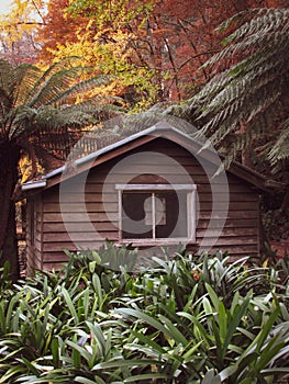 Abandoned boat shed againts the background of Sherbrooke forest