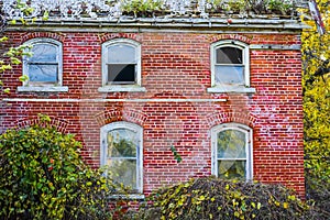 Abandoned Brick House in the Woods