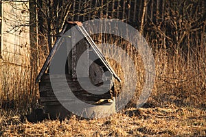 Abandoned broken wooden well among tall grass, rural lifestyle