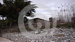 Abandoned Building in Bush