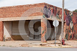 Abandoned Building with Mural