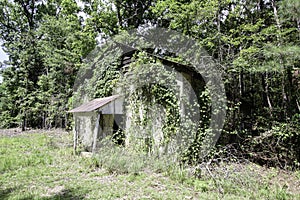 Abandoned building overgrown by kudzu