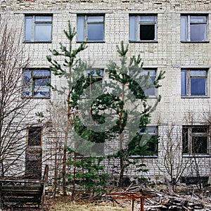 An abandoned building overgrown with trees in Pripyat