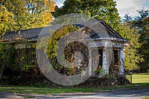 Abandoned building in small forest