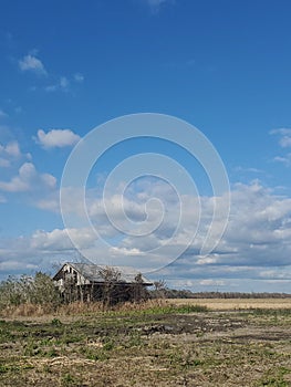 Abandoned building in the swamps