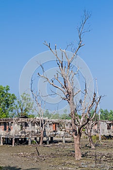 Abandoned buildings at Hiron Point in Sundarbans, Banglades