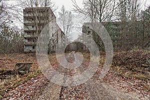 Abandoned buildings in overgrown ghost city Pripyat. photo