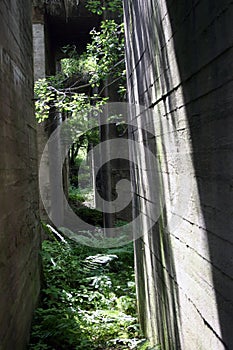 Abandoned bunkers