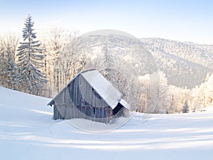 Abandoned cabin