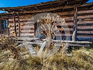 Abandoned Cabin