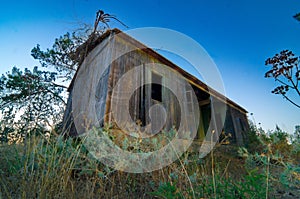 Abandoned Cabin - Light Painting