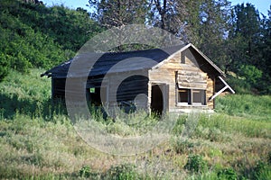 Abandoned Cabin in the Oregon Wilderness photo