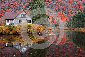 Abandoned cabin in Parc de la national Jacques Cartier surrounded with fall foliage