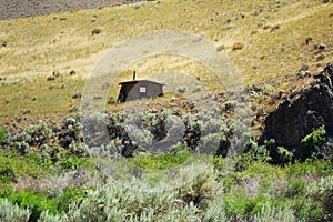 Abandoned Cabin - Salmon Rive Canyon