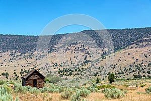 Abandoned Cabin with the Steens in the background