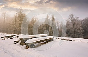 Abandoned camping place in winter forest