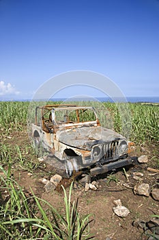 Abandoned Car in Field
