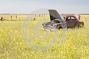 Abandoned car in field