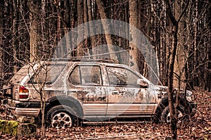 Abandoned car in the forest. Criminals stoled the car and abandoned in the wood. Old wrecked gray car among trees