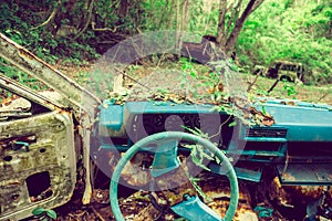 Abandoned car in the jungle