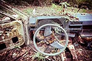 Abandoned car in the jungle