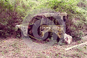 Abandoned car in the jungle