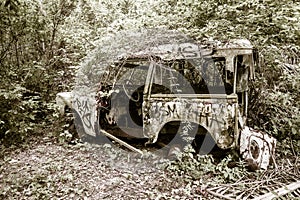 Abandoned car in the jungle