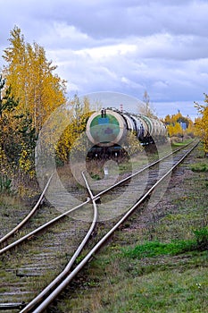 Abandoned cars on a siding