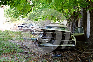 Abandoned cars