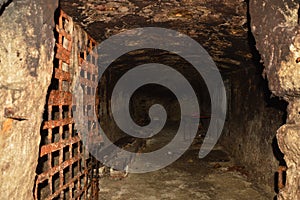 Abandoned cellar with rusty lattice door underground