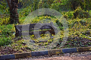 Abandoned cement bench covered with moss on the footpath at Indian Botanic Garden of Shibpur, Howrah near Kolkata. Soft focus