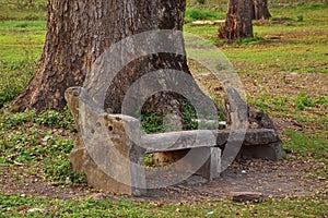 Abandoned cement bench covered with moss on the footpath at Indian Botanic Garden of Shibpur, Howrah near Kolkata. Soft focus