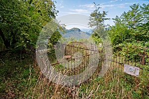 Abandoned cemetery